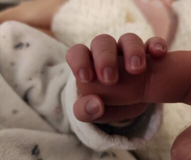 Près de 700 bébés sont nés à Flers en 2025