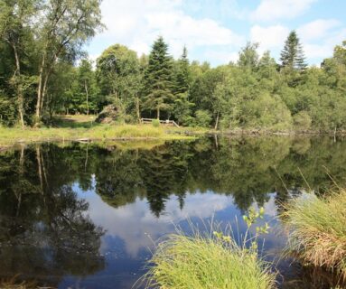 Balade nature - Portes-ouvertes à l'Etang de la Lande Forêt