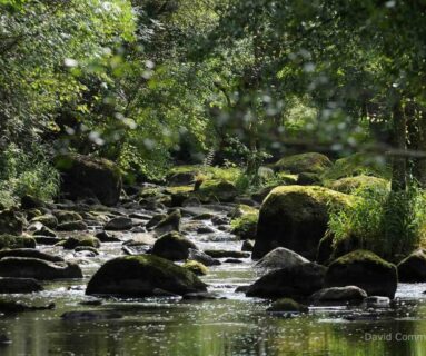 Les Rendez-vous de l'été- randonnée Le chant des cailloux