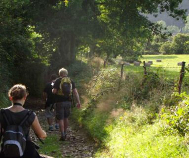 Les Rendez-vous de l'été- randonnée Les tisserands