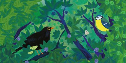 Exposition « Observons les oiseaux »